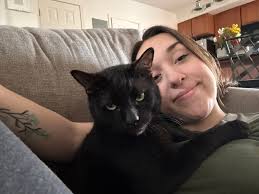 Lost Cat Kevin in Alton, Illinois,