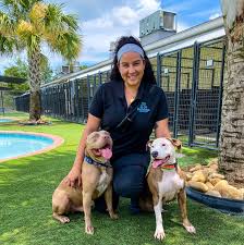 Ask a question about working or interviewing at all american pet resorts. Ft Myers Pet Boarding Pet Paradise