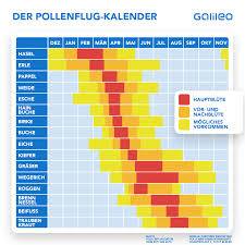 Informationen zum aktuellen pollenflug und tipps, um die pollenbelastung zu verringern. Pollen Allergie Und Heuschnupfen Kalender Apps Und Tipps Galileo