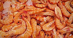 Add dressing to salad and toss to combine. Can Diabetics Eat Prawn And Shrimp Safety And Nutrition Beat Diabetes