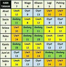 Check spelling or type a new query. Primbon Jawa Lengkap Netizen Word