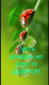 мот как к себе домой La La La La Pin By Inna Babak On Dobroe Utro Good Morning Gif Good Morning Birthday Greeting Message