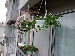 Beberapa jenis mudah ditanam dan cepat panen sehingga cocok bagi seorang pemula. Ni Buktinya Tinggal Di Apartment Pun Boleh Menanam Keluarga