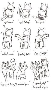 Pin By Marine On Sketch Ideas Warrior Cats Fan Art Warrior Cat Drawings Warrior Cat Memes