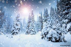 Winter Wonderland Falling Snow Photos Royalty Free Images Graphics Vectors Videos Adobe Stock Christmas Background Winter Background Winter Landscape