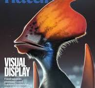 Covers | Nature research figure guide