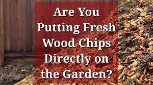 Using wood chips, however, has the added advantage of increasing nutrients in soil over time. Fresh Wood Chips Directly On The Garden Youtube