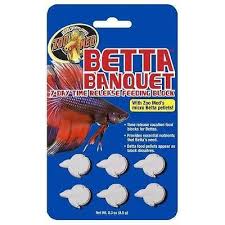 Pin On Betta Fish