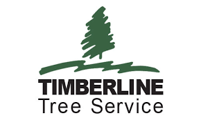 Check spelling or type a new query. Timberline Tree Service In White Bear Lake Mn Saveon