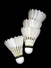 Ball badminton is a sport native to india. Shuttlecock Wikipedia