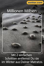 im winter so entfernen sie millionen milben aus ihrer matratze tipps milben matratze