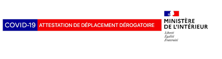Certaines justifications de la nouvelle attestation capture d'écran ministère de l'intérieur. Nouvelle Attestation De Deplacement Derogatoire Montereau Fault Yonne