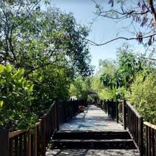 Hutan bakau ini termasuk lingkup ekosistem pantai sebab terletak di kawasan perbatasan laut dan darat. Wisata Mangrove Surabaya Yang Eksotis Beri Kesejukan Kota Hot Liputan6 Com