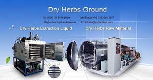 Higgs domino island adalah sebuah permainan domino yang berciri khas lokal terbaik di di indonesia. Drying Herbs Ground Choose Which Freeze Drying Equipment