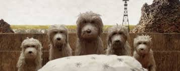 RÃ©sultat de recherche d'images pour "l ile aux chiens film"