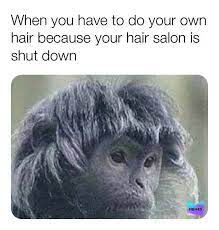 That's just how it goes — you change the world and it becomes the new normal. When You Have To Do Your Own Hair Because Your Hair Salon Is Shut Down Memes Meme