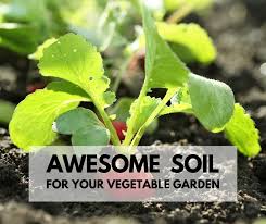 Check spelling or type a new query. How To Prepare Awesome Soil For Your Vegetable Garden Life Is Just Ducky