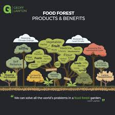 Pin On Food Forest