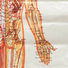 Chinese Medicine Body Acupuncture Points Meridians And