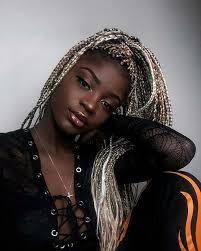 Braid is a way of making patterns of hair, which makes your hair look stylish and neat. 23 Cool Blonde Box Braids Hairstyles To Try Stayglam