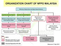 Interview with hii siew ann, kuching, 12 aug. Plant Biosecurity Division Ppt Download