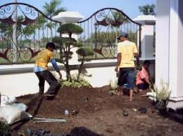 Selain murah, memiliki rumah dengan ukuran lahan terbatas ini juga membuat penghuninya semakin kreatif membuat suasana yang nyaman dan menyenangkan dengan bermacam desain. 5 Tanaman Untuk Taman Rumah Minimalis