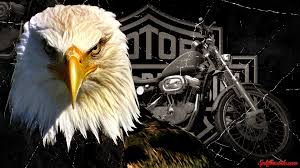 Download hd harley davidson wallpapers best collection. Cool Harley Davidson Wallpapers Top Free Cool Harley Davidson Backgrounds Wallpaperaccess
