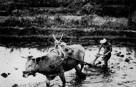 Daerah ini diperintah oleh seorang bupati bernama ki ageng pandanaran. Japanese Smithsonian War Background Study