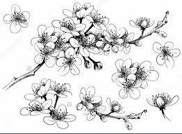 Maybe you would like to learn more about one of these? Mewarnai Gambar Bunga Tercantik 16 Contoh Gambar Sketsa Bunga Yang Mudah Digambar Hamparan 1 Cherry Blossom Drawing Flower Drawing Flower Drawing Tutorials