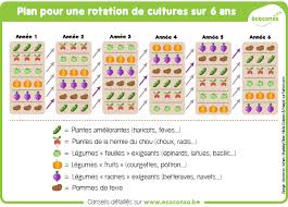 Exemple De Plan De Rotation De Cultures Sur 6 Ans
