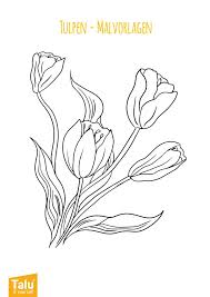 Tulpen Malvorlage Ausmalbild Zum Ausdrucken Talu De