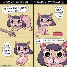 Are you the creator of books of adam? When You Begin To Wonder If You Truly Know Your Cat At All Funny Comic Strips Cute Comics Funny Cartoons