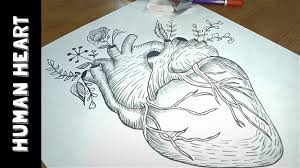 Here is another simple way to fold paper circles to create a 3d paper sunflower craft. How To Draw A Human Heart With Flowers Easy Drawing Pencil Art Aasi Kook Sketchbook Youtube