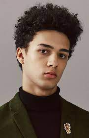 Men S Afro Hair Afro Hairstyles Afro Men Curly Hair Styles