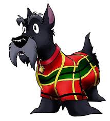 Pin On A Collection Of Scottie Photo S