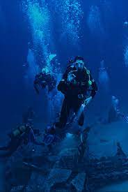 We did not find results for: 500 Scuba Diving Pictures Hd Download Free Images On Unsplash