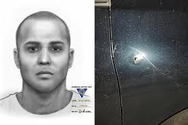 Sketch released of Route 78 road rage gunman