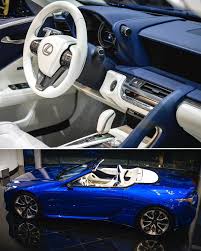 Image result for Structural Blue 2021 LC