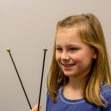 Image result for Visual Fixation