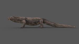 Komodo Dragon Rigged Is A High Quality 3d Model To Add More Details And Realism To Your Rendering Projects Fully Detailed Text In 2020 Komodo Dragon Komodo 3d Model