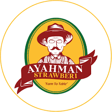AyahMan Strawberi Cameron Highlands