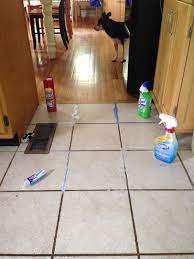 Pin By Erin Highbaugh On Cleaning Tips Floor Grout Cleaner Grout Cleaner Grout Cleaning Diy