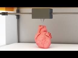 Zhivye Organy Pechatayut Na 3d Printere Youtube