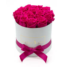 Check spelling or type a new query. Young At Heart Long Lasting Preserved Roses Birthday Gift