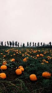 Check spelling or type a new query. 25 Aesthetic Autumn Wallpaper Tumblr Venera Wallpaper