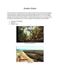 Terletak di bahagian tengah semenanjung malaysia, pedalaman sabah dan sarawak. Sumber Hutan