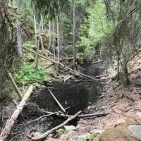 En vandringsled löper genom den mest dramatiska halvan av skurugata med upp till 35 m höga bergväggar. Skurugata Trail
