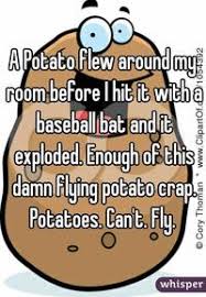 I seriously have no ideas. A Potato Flew Around My Room Image Gallery Sorted By Views Know Your Meme