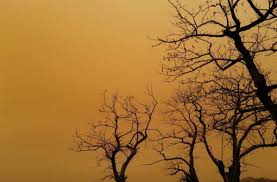 Stuttgart ii 2020/2021 fikstürü, iddaa, maç sonuçları, maç istatistikleri, futbolcu kadrosu, haberleri, transfer haberleri. Wetterphanomen Uber Europa Saharastaub Sorgt Auch In Spanien Und Frankreich Fur Schlagzeilen Panorama Stuttgarter Nachrichten