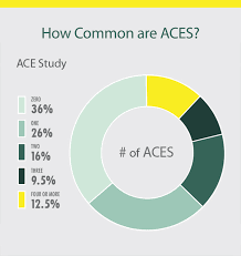 Pie Chart Shows The Prevalence Of Adverse Childhood